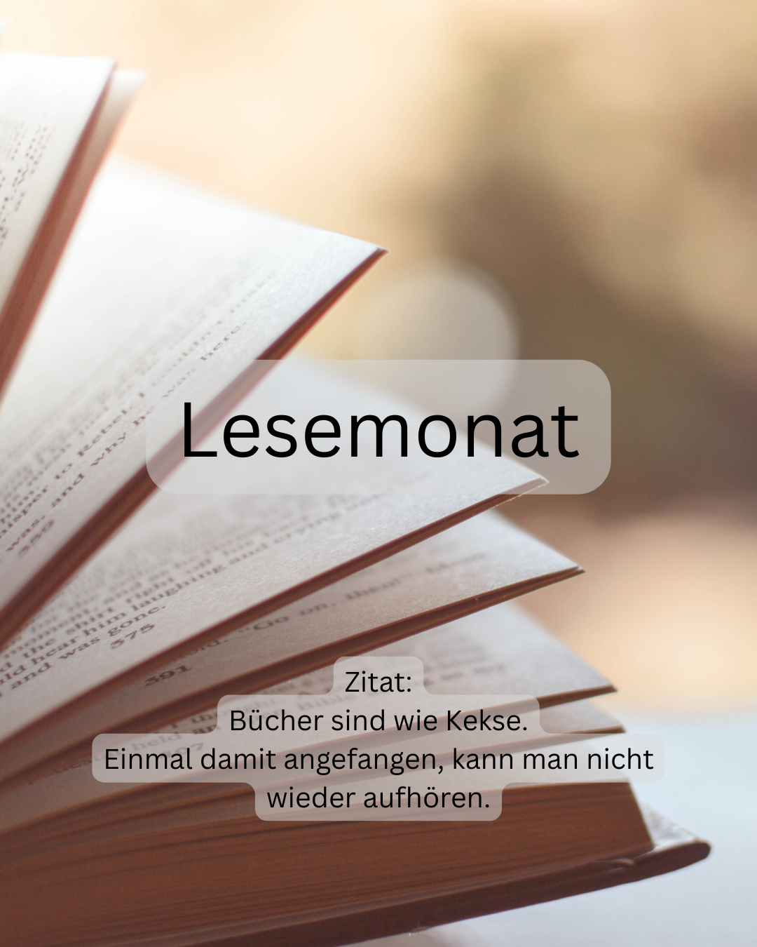 Lesemonat Juli 25 und Update #25für25