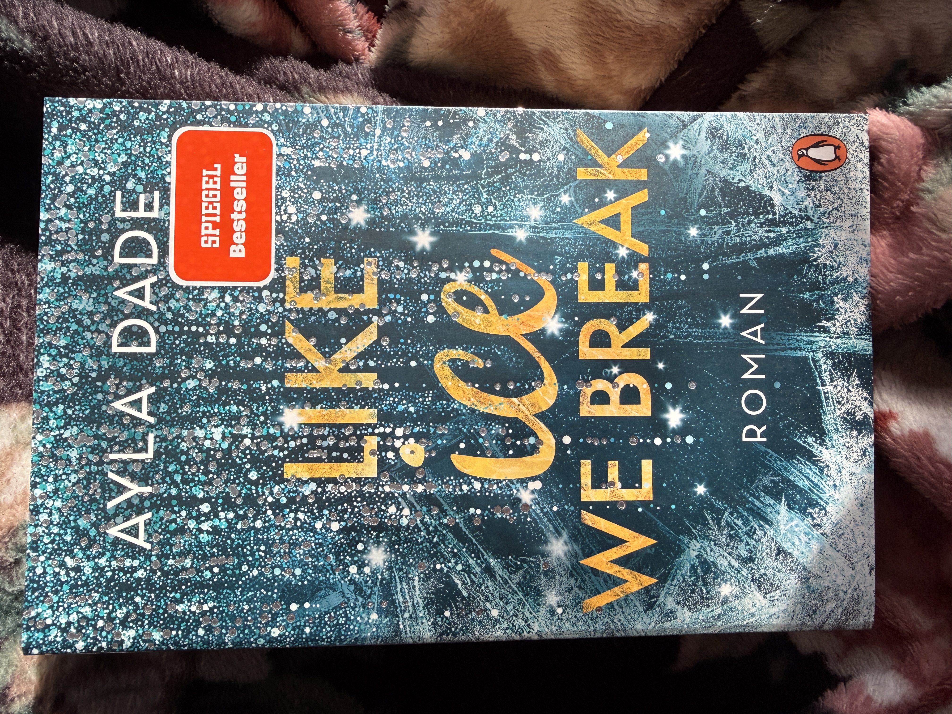 Like Ice We Break (Winter Dreams-Reihe 3) von Ayla Dade