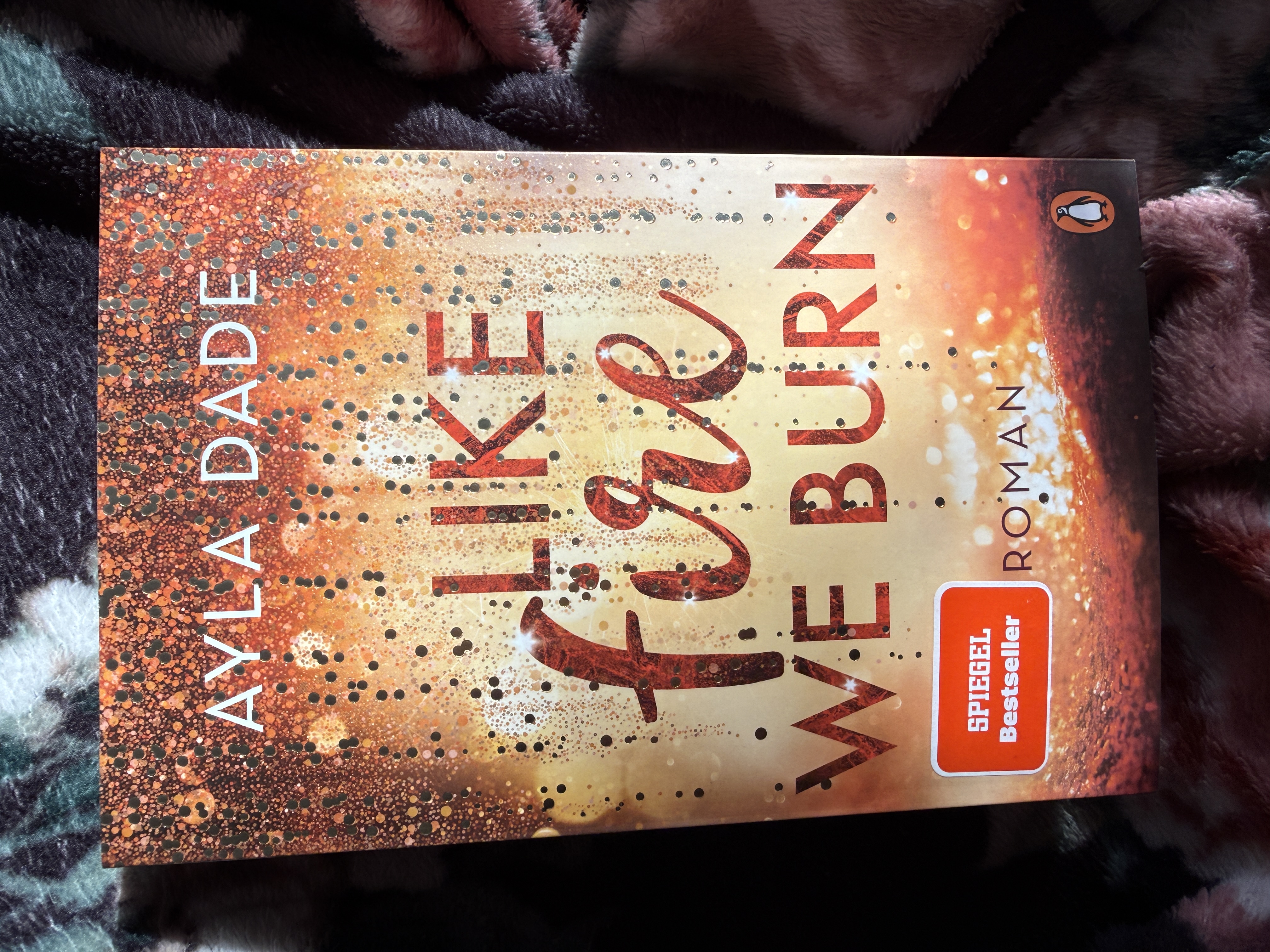 Like fire we burn (Winter Dreams-Reihe 2) von Ayla Dade